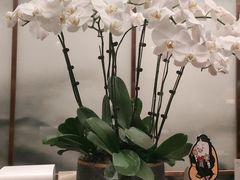 -领事馆19号中餐厅(厦门海景洲际酒店)