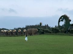 -东平国家森林公园
