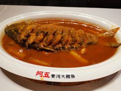 -阿五黄河大鲤鱼(纬三路店)