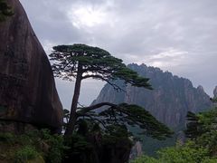 -黄山玉屏楼宾馆餐厅