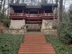 -紫霞湖公园