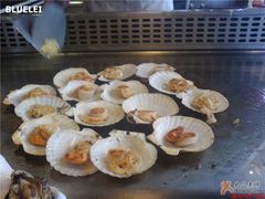扇贝-大渔铁板烧(蛇口店)