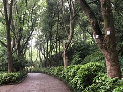 -杭州半山国家森林公园