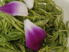 -嫩芽 ·地道重庆菜(十八梯露台夜景店)