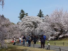 -醍醐寺