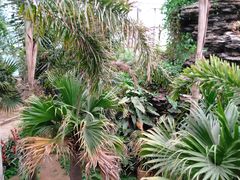 -石家庄市植物园