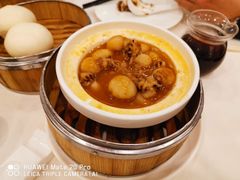 XO酱蒸墨鱼仔-凤凰楼酒家·粤宴点心(华强北店)