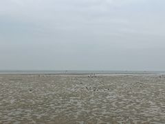 -北海金海湾红树林生态旅游区