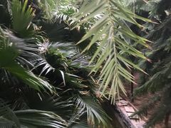 -龙达温泉生态城