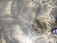 -台山黑沙湾海浴场