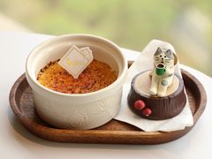 焦糖布丁-猫小主咖啡·猫咖cat cafe(福田店)