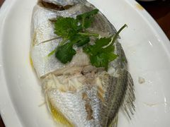 -长平肥姐白粥·海鲜打冷