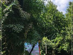 -分塔山省级森林公园