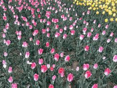 -长春公园(普阳街道)