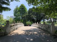 -晓港公园