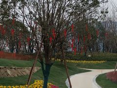 -府河摄影公园