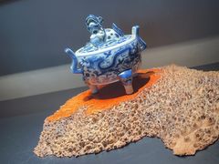 -觀芷隐轩