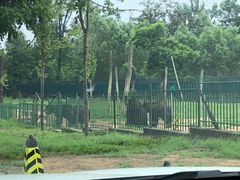 -秦皇岛野生动物园