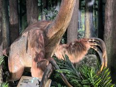 -陕西自然博物馆