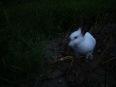 -川竹火锅(创业城店)