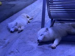 -正佳极地海洋世界