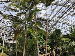 -北京植物园-展览温室