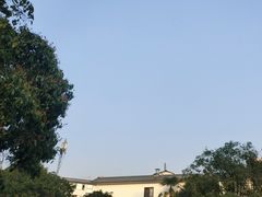 -印象泰和园(望丛西路店)