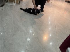 -恒幸动物医院·急重症转诊中心·神经内外科·CT核磁