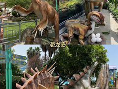 -海合安武汉极地海洋公园