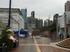 -九龙公园