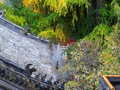 -潭柘寺景区