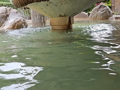 -大理地热国