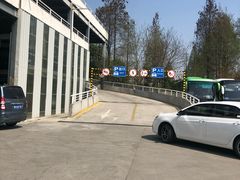 -上海植物园·停车场