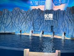-珠海长隆海洋王国