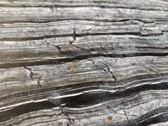 -西双版纳融创皇冠假日度假酒店