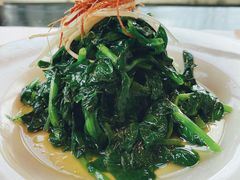 火丝银芽豆苗-江南雅厨(李公堤店)