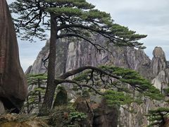 -黄山风景区