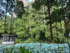 -四海公园(南山区)