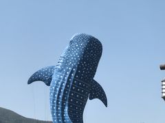 -珠海长隆海洋王国