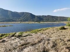 -腾冲北海湿地