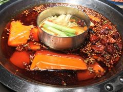 -孙毛肚火锅(春熙路店)