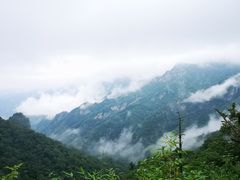 -终南山国家森林公园