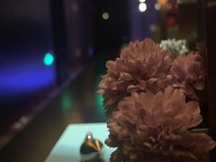 -索拉古贝(义乌北苑店)