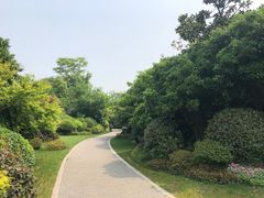 -桃花岛景观公园