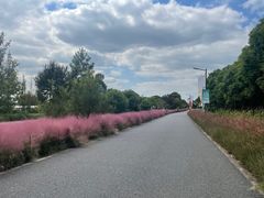 -嘉北郊野公园