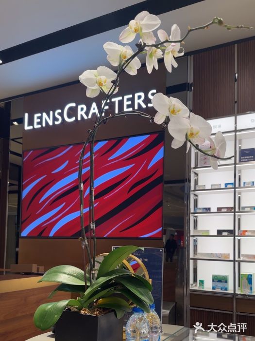 LensCrafters亮视点·OAKLEY精选(静安嘉里中心店)图片