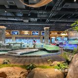人生建议！！吃完这顿再离开岳阳
