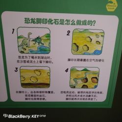 -恐龙探索乐园(磁器口店)