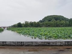 -苏州上方山国家森林公园