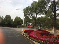 -艾溪湖湿地公园